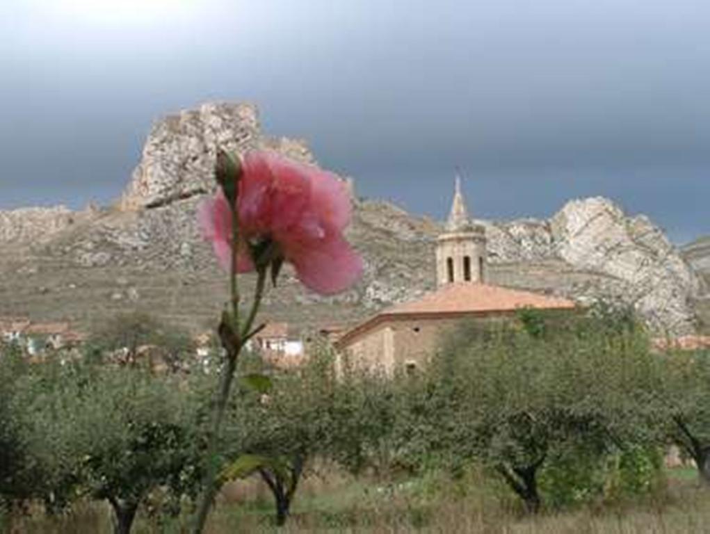 Hotel Rural El Horno De Aliaga Buitenkant foto